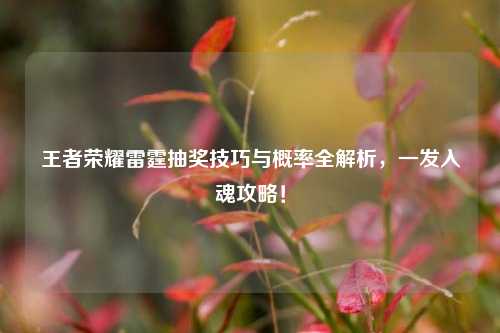 王者荣耀雷霆抽奖技巧与概率全解析，一发入魂攻略！