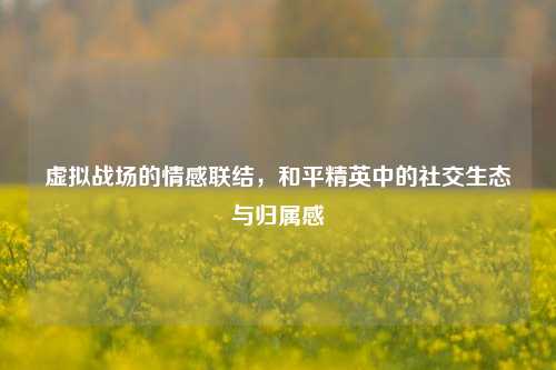 虚拟战场的情感联结，和平精英中的社交生态与归属感