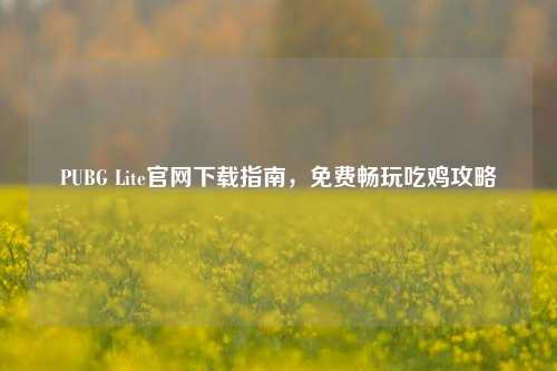 PUBG Lite官网下载指南，免费畅玩吃鸡攻略