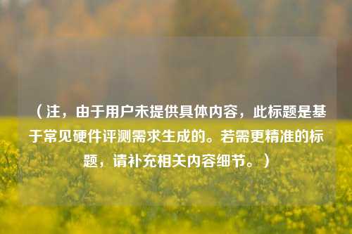 （注，由于用户未提供具体内容，此标题是基于常见硬件评测需求生成的。若需更精准的标题，请补充相关内容细节。）