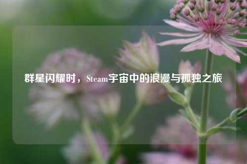 群星闪耀时，Steam宇宙中的浪漫与孤独之旅