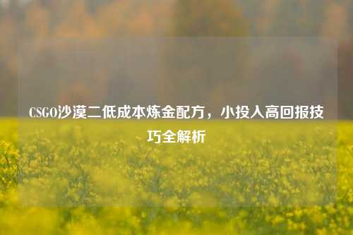 CSGO沙漠二低成本炼金配方，小投入高回报技巧全解析