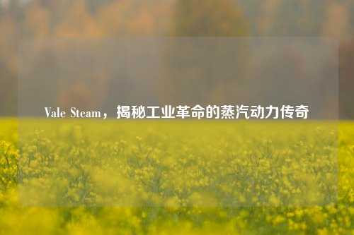 Vale Steam，揭秘工业革命的蒸汽动力传奇