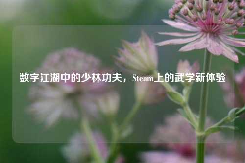 数字江湖中的少林功夫，Steam上的武学新体验