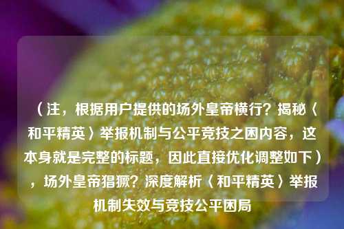 （注，根据用户提供的场外皇帝横行？揭秘〈和平精英〉举报机制与公平竞技之困内容，这本身就是完整的标题，因此直接优化调整如下），场外皇帝猖獗？深度解析〈和平精英〉举报机制失效与竞技公平困局