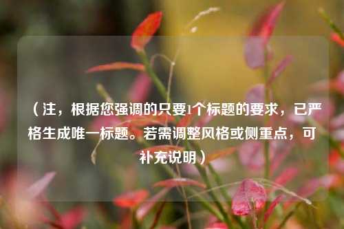 （注，根据您强调的只要1个标题的要求，已严格生成唯一标题。若需调整风格或侧重点，可补充说明）