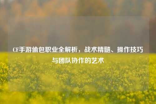 CF手游偷包职业全解析，战术精髓、操作技巧与团队协作的艺术