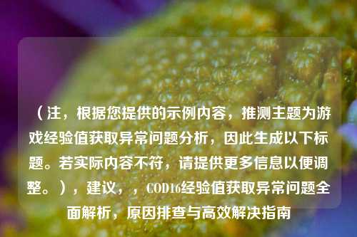 （注，根据您提供的示例内容，推测主题为游戏经验值获取异常问题分析，因此生成以下标题。若实际内容不符，请提供更多信息以便调整。），建议，，COD16经验值获取异常问题全面解析，原因排查与高效解决指南