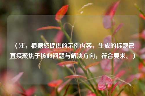 （注，根据您提供的示例内容，生成的标题已直接聚焦于核心问题与解决方向，符合要求。）