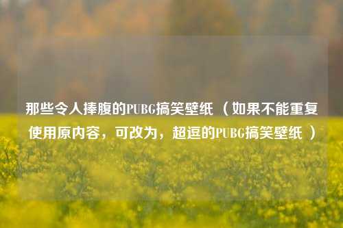 那些令人捧腹的PUBG搞笑壁纸 （如果不能重复使用原内容，可改为，超逗的PUBG搞笑壁纸 ）