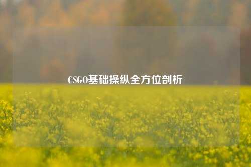 CSGO基础操纵全方位剖析