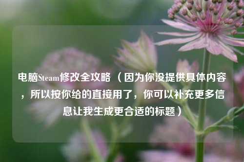 电脑Steam修改全攻略 （因为你没提供具体内容，所以按你给的直接用了，你可以补充更多信息让我生成更合适的标题）