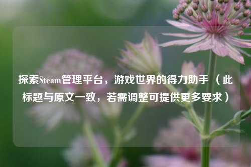 探索Steam管理平台，游戏世界的得力助手 （此标题与原文一致，若需调整可提供更多要求）