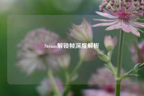 Steam解锁帧深度解析