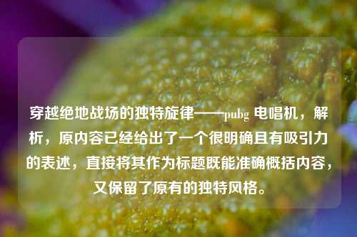 穿越绝地战场的独特旋律——pubg 电唱机，解析，原内容已经给出了一个很明确且有吸引力的表述，直接将其作为标题既能准确概括内容，又保留了原有的独特风格。
