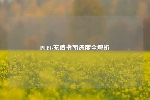 PUBG充值指南深度全解析