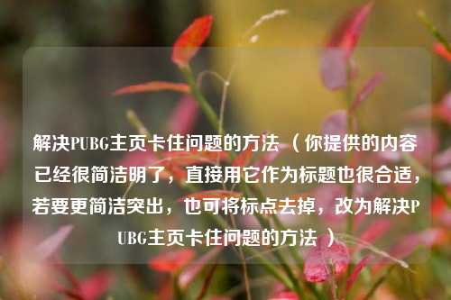 解决PUBG主页卡住问题的方法 （你提供的内容已经很简洁明了，直接用它作为标题也很合适，若要更简洁突出，也可将标点去掉，改为解决PUBG主页卡住问题的方法 ）