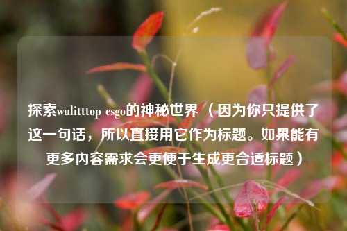 探索wulitttop csgo的神秘世界 （因为你只提供了这一句话，所以直接用它作为标题。如果能有更多内容需求会更便于生成更合适标题）