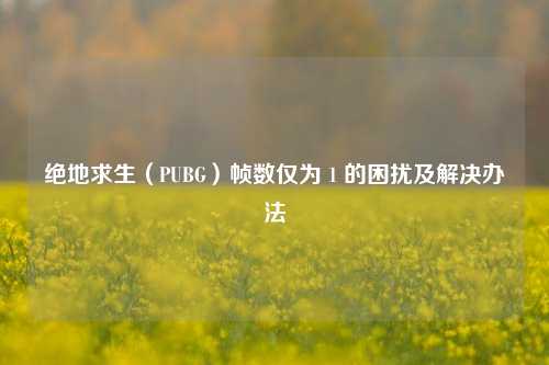 绝地求生（PUBG）帧数仅为 1 的困扰及解决办法