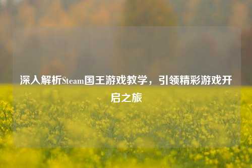 深入解析Steam国王游戏教学，引领精彩游戏开启之旅