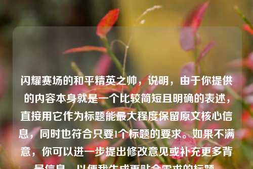 闪耀赛场的和平精英之帅，说明，由于你提供的内容本身就是一个比较简短且明确的表述，直接用它作为标题能更大程度保留原文核心信息，同时也符合只要1个标题的要求。如果不满意，你可以进一步提出修改意见或补充更多背景信息，以便我生成更贴合需求的标题。