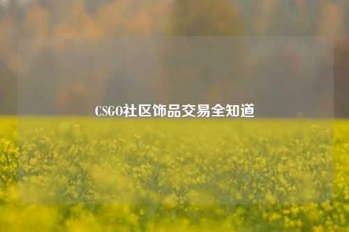 CSGO社区饰品交易全知道