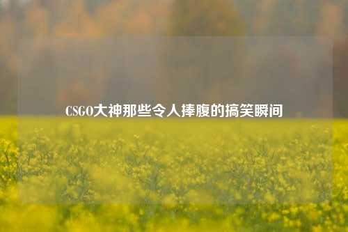 CSGO大神那些令人捧腹的搞笑瞬间