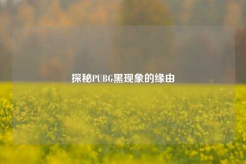 探秘PUBG黑现象的缘由