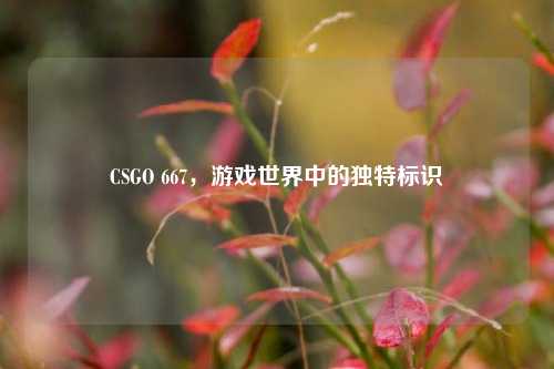 CSGO 667，游戏世界中的独特标识