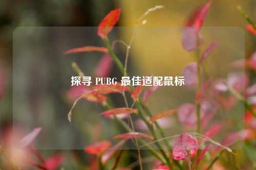 探寻 PUBG 更佳适配鼠标