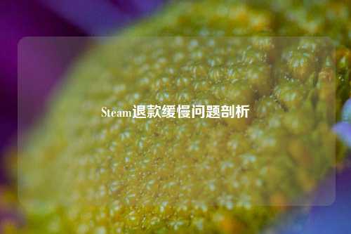 Steam退款缓慢问题剖析