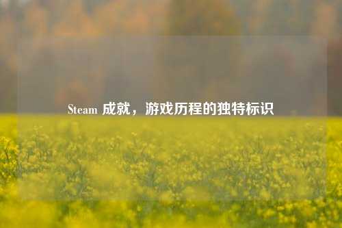 Steam 成就，游戏历程的独特标识