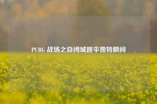 PUBG 战场之自闭城跳伞独特瞬间