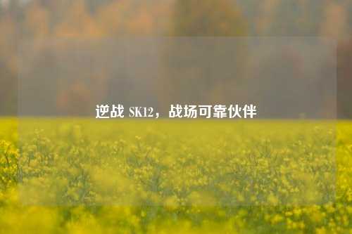 逆战 SK12，战场可靠伙伴