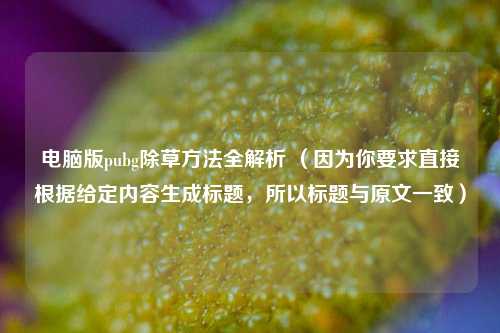 电脑版pubg除草 *** 全解析 （因为你要求直接根据给定内容生成标题，所以标题与原文一致）