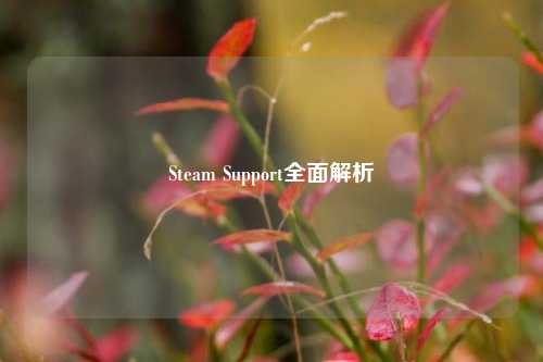 Steam Support全面解析