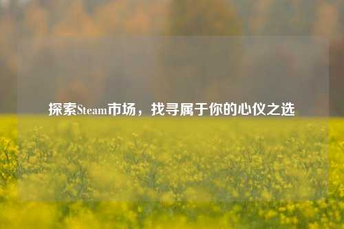 探索Steam市场，找寻属于你的心仪之选