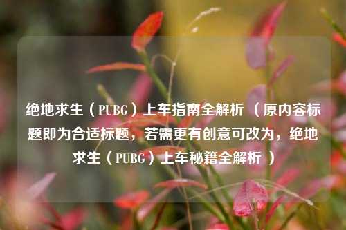 绝地求生（PUBG）上车指南全解析 （原内容标题即为合适标题，若需更有创意可改为，绝地求生（PUBG）上车秘籍全解析 ）