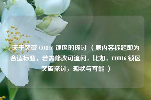 关于突破 COD16 锁区的探讨 （原内容标题即为合适标题，若需修改可追问，比如，COD16 锁区突破探讨，现状与可能 ）