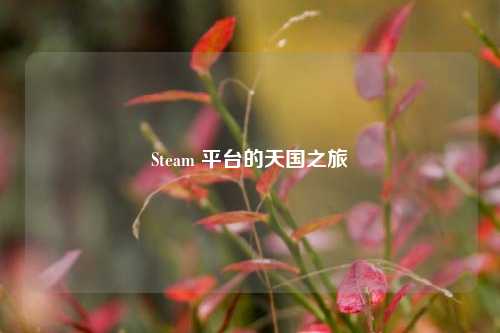 Steam 平台的天国之旅