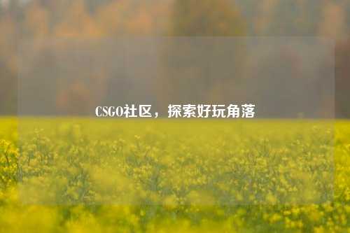 CSGO社区，探索好玩角落