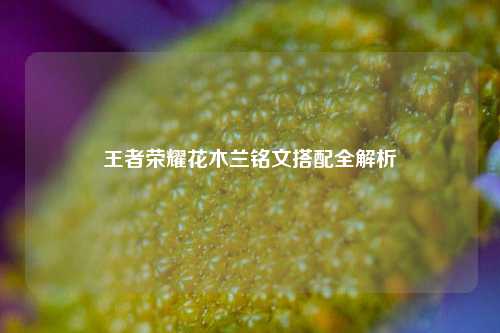 王者荣耀花木兰铭文搭配全解析