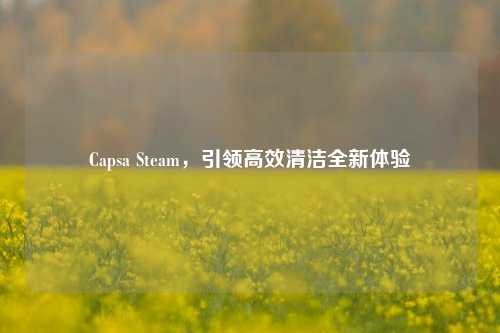 Capsa Steam，引领高效清洁全新体验