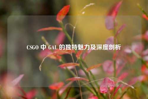 CSGO 中 GAL 的独特魅力及深度剖析