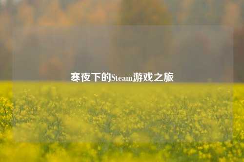 寒夜下的Steam游戏之旅