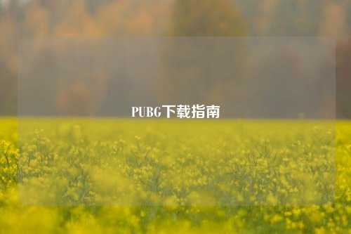 PUBG下载指南