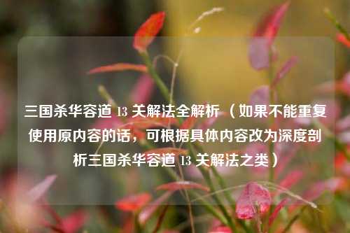 三国杀华容道 13 关解法全解析 （如果不能重复使用原内容的话，可根据具体内容改为深度剖析三国杀华容道 13 关解法之类）