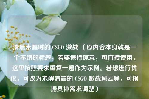 清晨未醒时的 CSGO 激战 （原内容本身就是一个不错的标题，若要保持原意，可直接使用，这里按照要求重复一遍作为示例。若想进行优化，可改为未醒清晨的 CSGO 激战风云等，可根据具体需求调整）