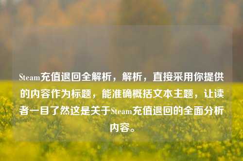 Steam充值退回全解析，解析，直接采用你提供的内容作为标题，能准确概括文本主题，让读者一目了然这是关于Steam充值退回的全面分析内容。