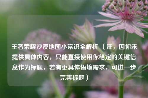 王者荣耀沙漠地图小常识全解析 （注，因你未提供具体内容，只能直接使用你给定的关键信息作为标题，若有更具体语境需求，可进一步完善标题）